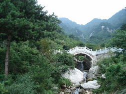 龟山在哪个省哪个市