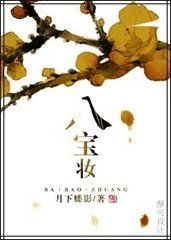 八宝妆 月下蝶影，八宝妆小说