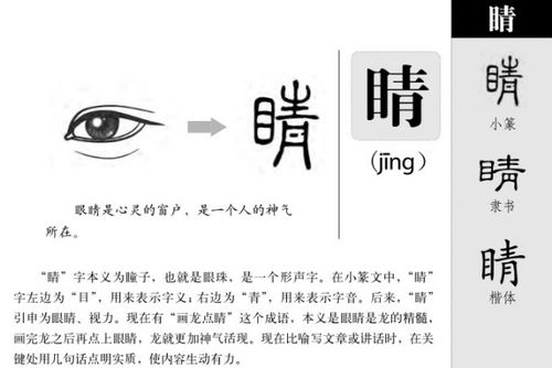 晴笔顺组词，睛笔顺拼音