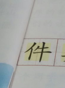 架字组词和部首，驾字组词