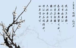 忆江南渔歌子卜算子是词牌名吗?