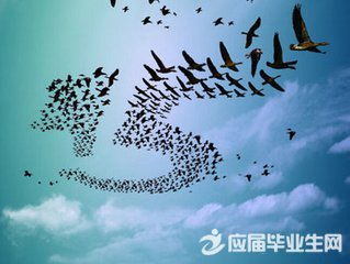 团结的反义词是什么?