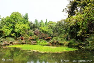 百花潭公园，百花潭中学