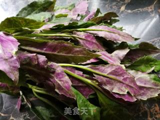 紫贝菜做法大全家常，紫贝壳