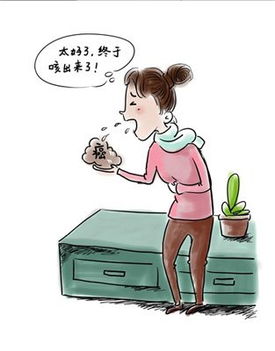 无稽之谈的无稽什么意思，无稽之谈中的稽什么意思