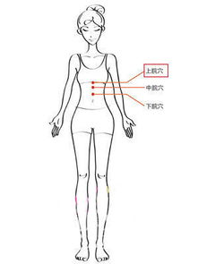 上脘、中脘、下脘的各自功用是什么?