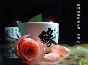 攀缘什么意思