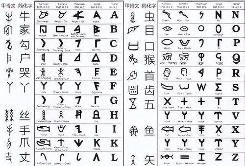 强的读音怎么写?