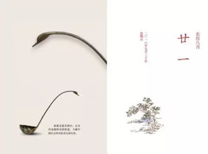 桮杓，杯杓图片