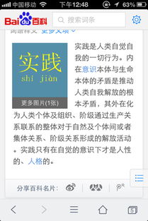 小圈实践是什么意思，政务实践是什么意思