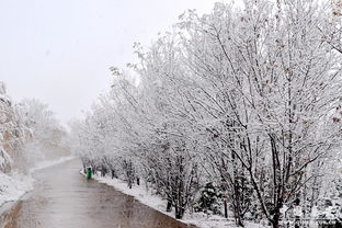 霰雪纷其无垠兮,云霏霏而承宇意思，霰雪怎么读