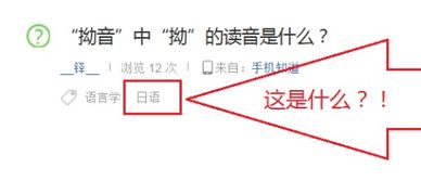 拗断的读音，拗不过的读音