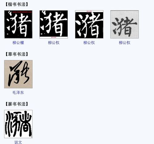 潴怎么读宫颈潴留囊肿，漪怎么读,什么意思