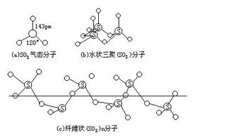 so2是什么化学名称，so2与水反应