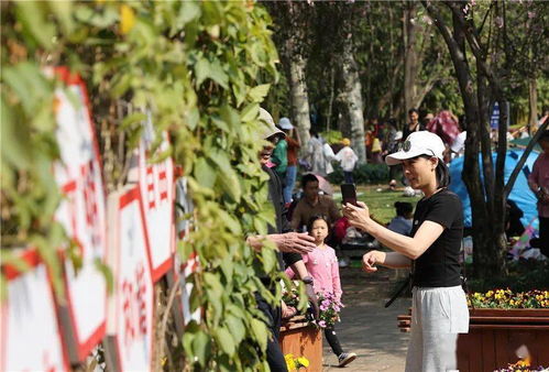 游人如织的意思和造句，游人如织这个成语是什么意思