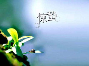 惊蛰是几月几号