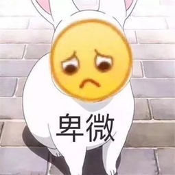 卑微的意思 卑微是什么意思