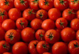 tomatoes怎么读，cherrytomato怎么读