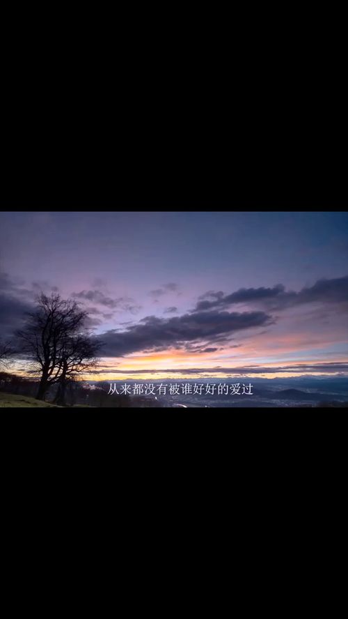 天上月亮四四七指什么生肖，天上月亮四四七是什么数字
