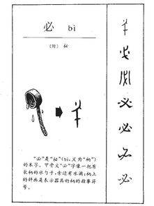 必的拼音和部首，须的拼音