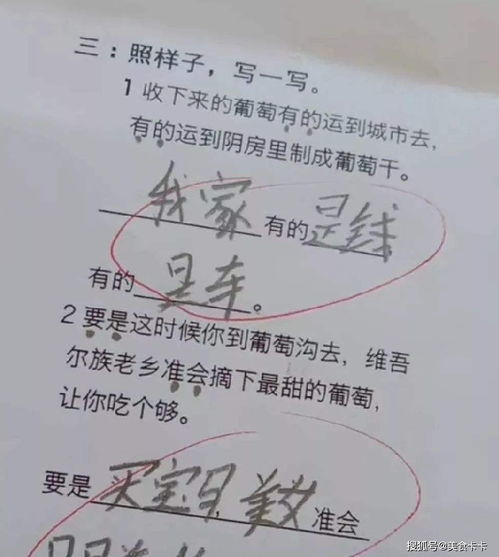 诲人不倦造句30字，诲人不倦造句一年级