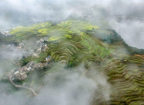安土重迁的意思，安土敦乎仁,故能爱