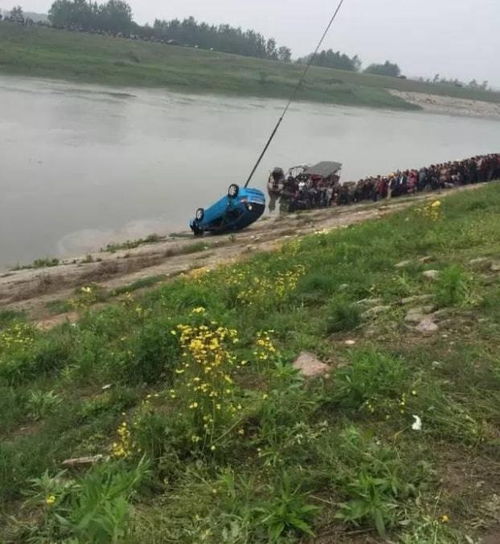 河车丸，河车丸是什么东西