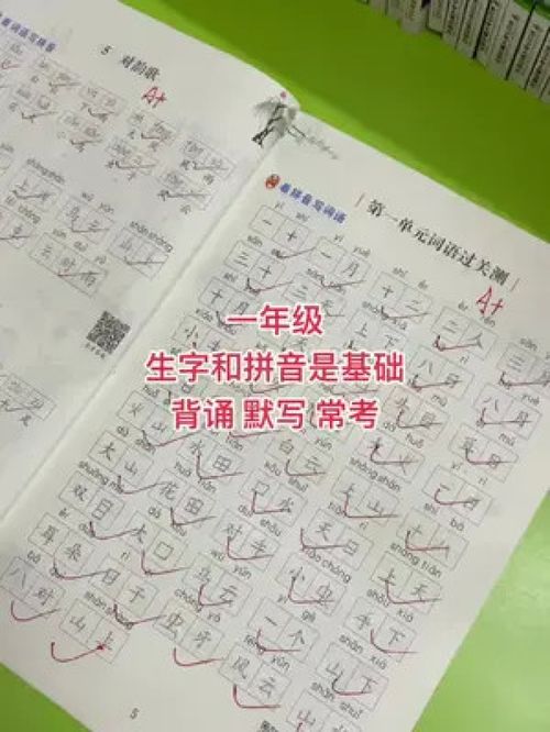生的拼音怎么拼?