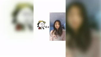 蘸的意思和拼音，苛求的意思
