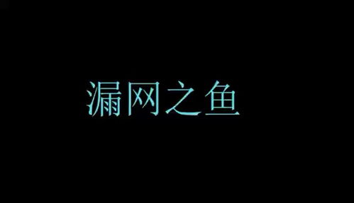 风紧扯呼下一句 怎么接?