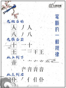 “这是什么节奏啊”是什么意思?