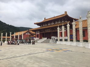 嵩阳的引证解释嵩阳的引证解释是什么