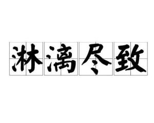 玲离尽致和淋漓尽致的意思，演的淋漓尽致的意思