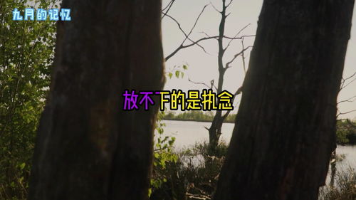 释然是什么意思?