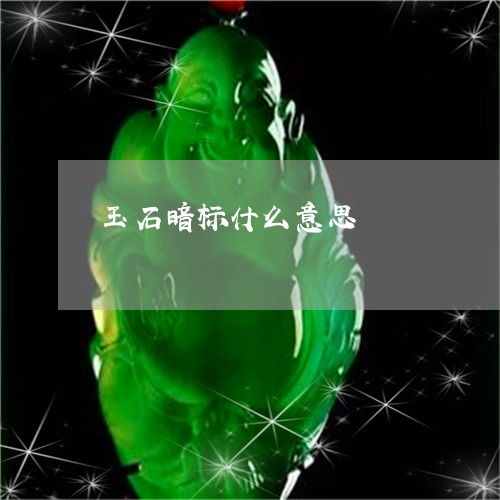 招标暗标是什么意思，暗标是什么意思网络用语