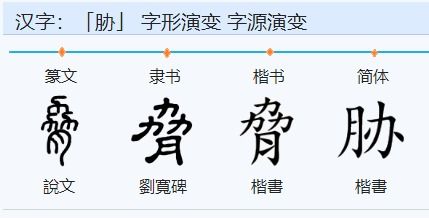 胁的拼音组词，肋的拼音组词