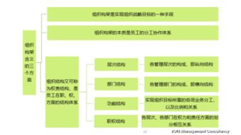 社会组织是什么意思，魏氏组织是什么意思