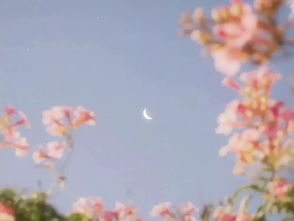 花前月下的意思是什么