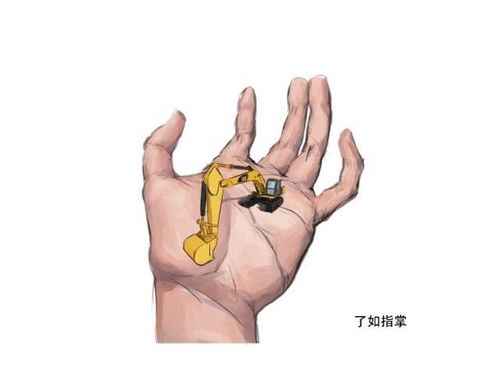 瞭若指掌与了若指掌，了若指掌的拼音
