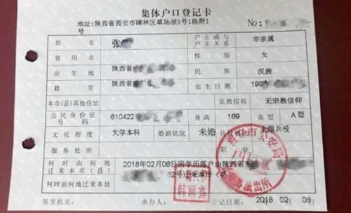 什么家什么户数字词语，什么家什么户四字词语