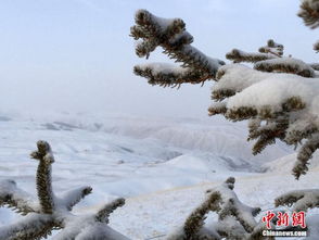 万里雪飘意思是什么?