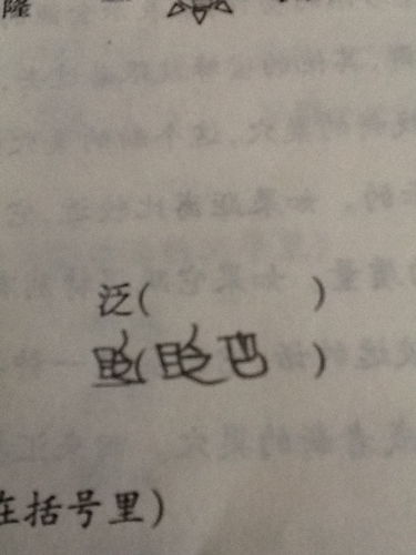 泛词语四字，泛词语组词