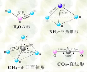 孤对电子什么意思，孤对电子数
