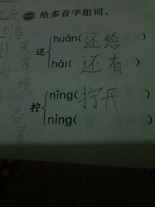 拧的组词和拼音，挣的组词多音字