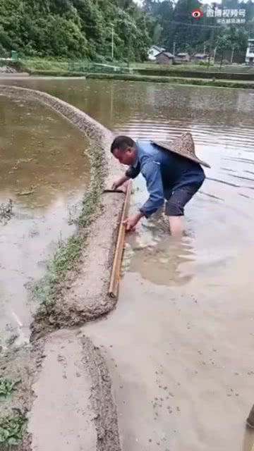 什么是精耕细作?
