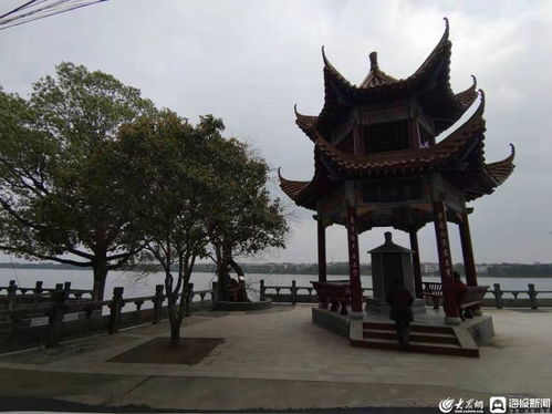 亭的部首是什么结构是什么