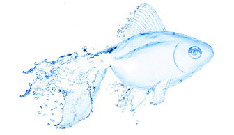 爱水节水惜水