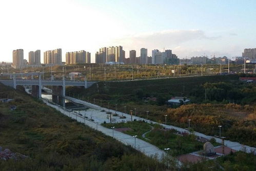 又离鸡西打一字