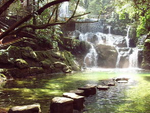 2021鼎湖山景区旅游攻略-门票价格-景点介绍