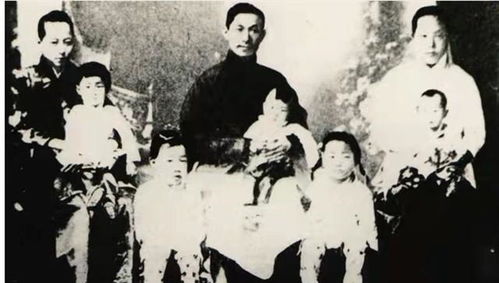 为何说蔡锷与两位夫人感情极好,小凤仙最多算是红颜知己?